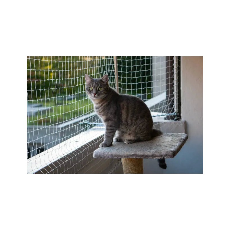 Cat/bird net SPIRDS set: net: 5 m x 2 m + clips + glue