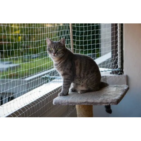 Cat/bird net SPIRDS set: net: 5 m x 2 m + clips + glue