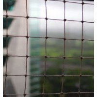 Cat/bird net SPIRDS set: net: 4 m x 2 m + Clips + glue