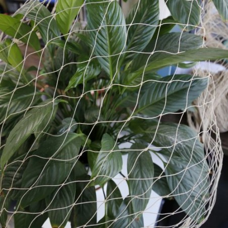 Cat/bird net SPIRDS set: net: 5 m x 2 m + clips + glue