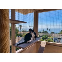 Cat/bird net SPIRDS SET 3 m x 4 m + clips + glue